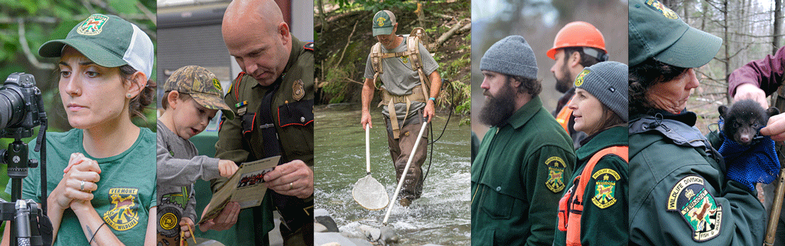 Department Divisions | Vermont Fish & Wildlife Department